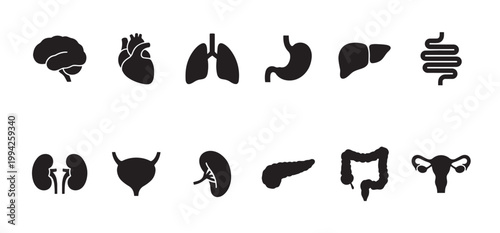 A collection of black silhouette icons representing various human internal organs against a clean white background, ideal for medical or educational concepts.