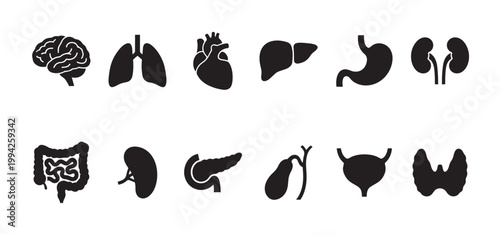 A clean, simple graphic illustration features a collection of black silhouette icons representing various human organs against a white background, suitable for medical and educational use.