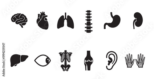 Collection of black silhouette icons representing various human organs and body parts, including the brain, heart, lungs, and skeleton, on a white background.