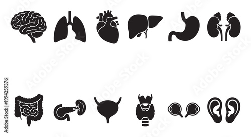 Collection of black silhouette icons representing human organs and body parts set against a white background, ideal for medical or educational use.