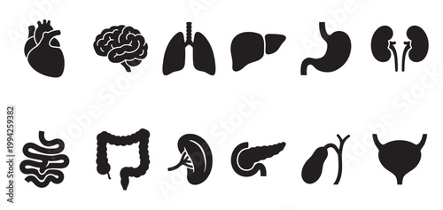 A collection of black silhouette icons representing various human organs, displayed against a clean white background for clear identification and versatile use.