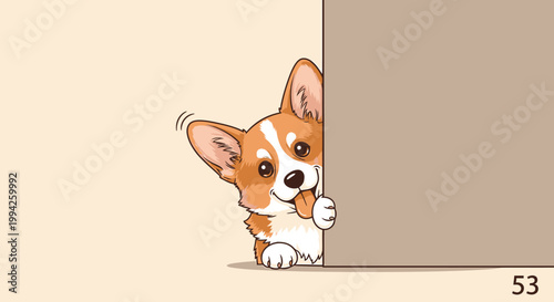 Cute Pembroke Welsh Corgi puppy peeking around a corner.