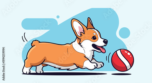 Energetic Corgi dog happily playing with a red striped ball.