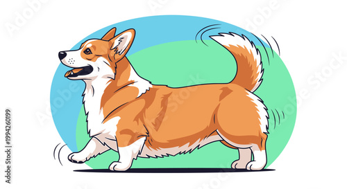 Happy Pembroke Welsh Corgi Dog Walking with Wagging Tail.