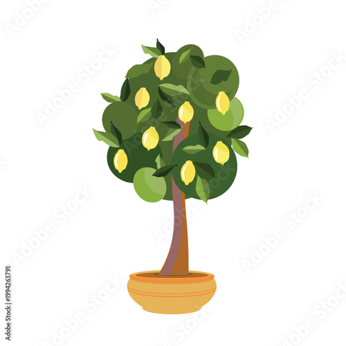 Lemon tree with fruit in pot flat design modern vector illustration object isolated for web, for print