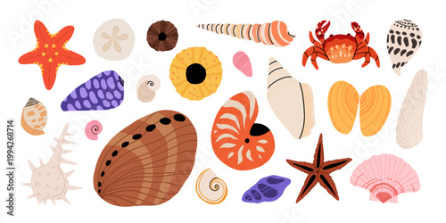Hand drawn seashells and sea creatures set, nautilus, scallop, starfish, crab, urchin, mussel, abalone, conch, coastal collection on white