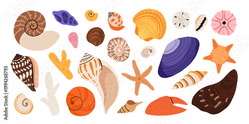 Hand drawn seashells and sea creatures set, nautilus, scallop, starfish, crab, urchin, mussel, abalone, conch, coastal collection on white