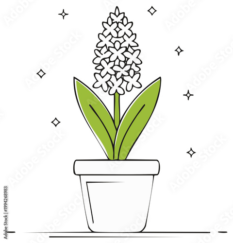 Potted Hyacinth Line Art Illustration White Flowers Green Leaves Growing Indoors Springtime Home Decor Floral Design