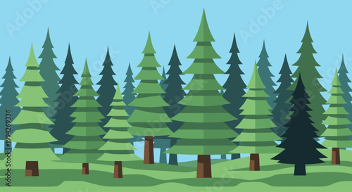Pine trees standing in layered conifer forest landscape