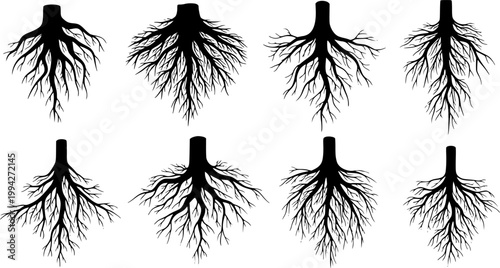 Tree roots silhouettes isolated on white, vector set of taproot and fibrous root systems of various plants, realistic black roots illustrations
