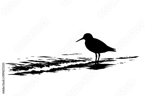 A small shorebird stands alone near the water's edge.