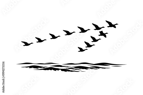 A flock of birds flies in V-formation above ocean waves.