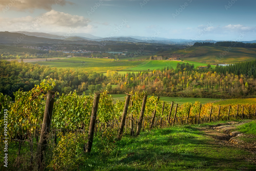 Fototapeta premium Chianti Vineyards and Tuscan Landscape at Dawn, Castellina