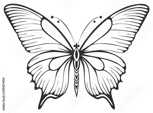 Elegant line art illustration of a detailed monarch butterfly with wings spread wide and antennae visible