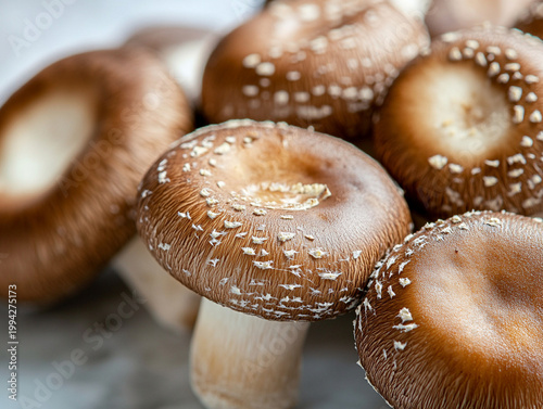 Fresh raw Shiitake mushrooms on rustic background, close-up of organic gourmet fungi caps and gills