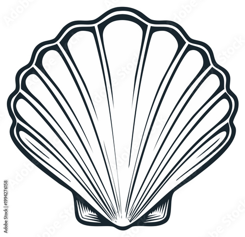 Elegant Scallop Seashell Line Art Illustration Minimalist Marine Icon