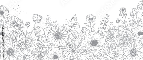 Horizontal border design of diverse wildflowers and meadow grasses in a sketched outline line art