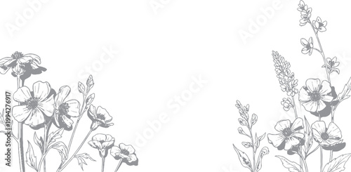 Floral illustration with poppies and tall stem flowers sketchy art hand drawn line art botanical