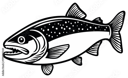Detailed Vector Illustration of a Spotted Fish, an Aquatic Animal with a Predatory Appearance