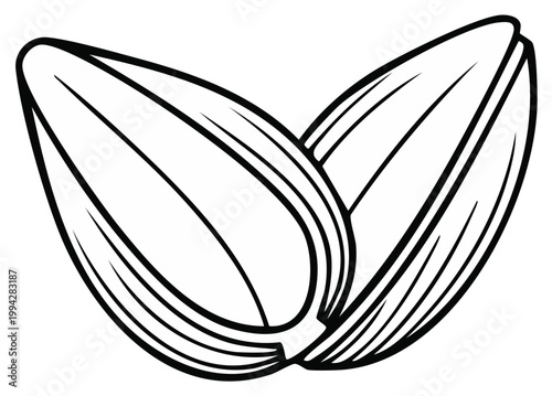Black and white line art drawing of sunflower seeds, illustration of healthy eating snack, seeds isolated on white, cooking ingredient