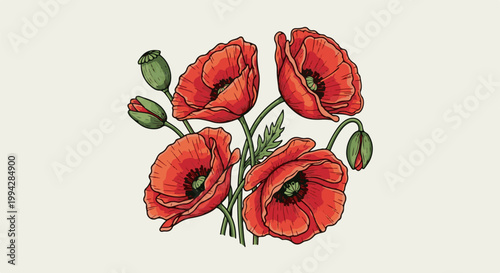 Vintage illustration of vibrant red poppies with green buds against a light background