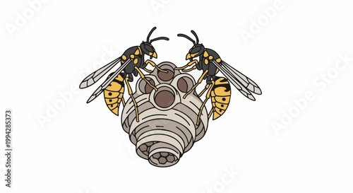 Two yellow and black wasps tending to a honeycomb nest with hexagonal cells