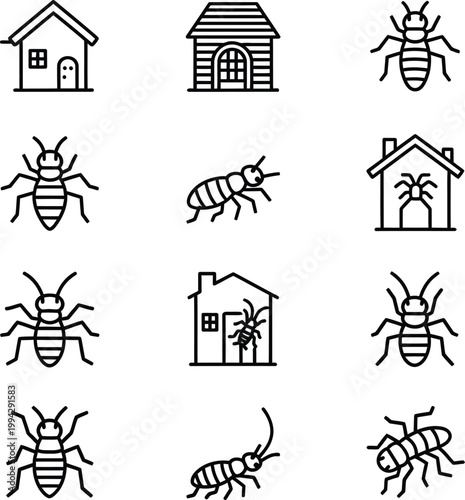 Black and white of houses and insects bugs beetles