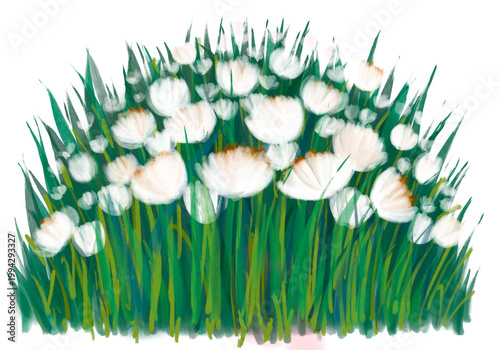 White floral lawn clipart isolated on white