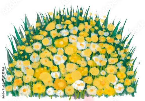 Golden blossom shrub clipart isolated on white