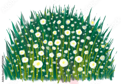 Cream meadow bush clipart isolated on white