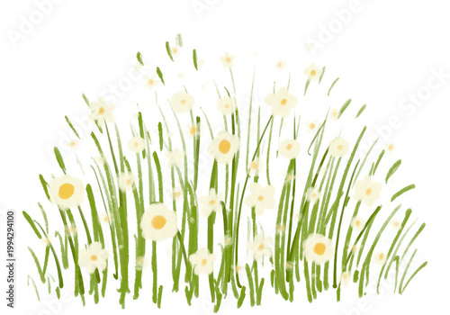 Pastel white grass clipart isolated on white