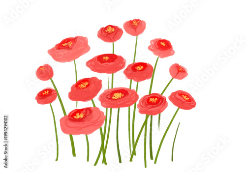 Red poppy stems clipart isolated on white
