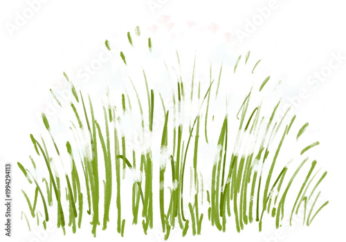 Ivory neutral grass clipart isolated on white