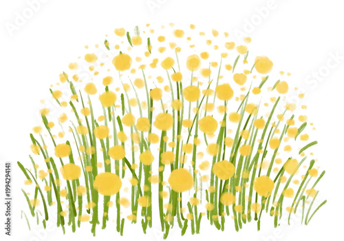Light yellow daisy bush clipart isolated on white