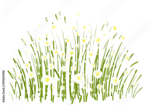Pale spring grass clipart isolated on white