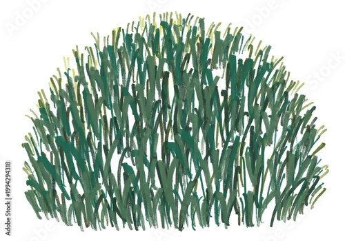 Dark green grass bush clipart isolated on white