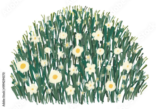Cream white flower bush clipart isolated on white