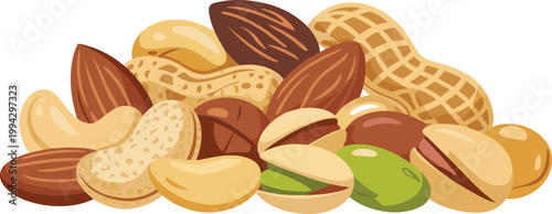 Mixed nuts assortment illustration, almonds peanuts pistachios cashews healthy snack vector design