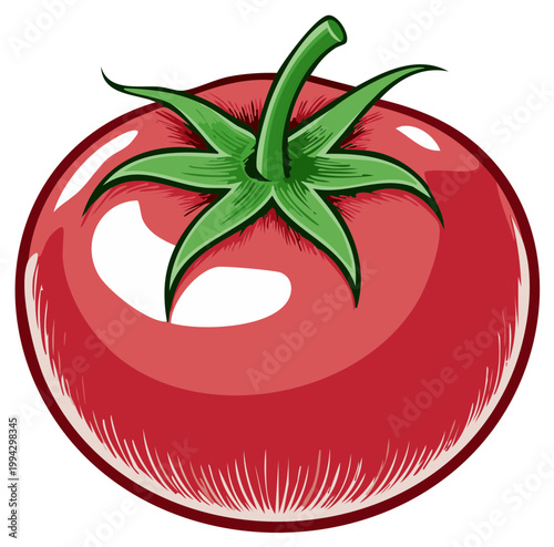 Cartoon tomato illustration with green stem and leaves isolated. Fresh, ripe produce.