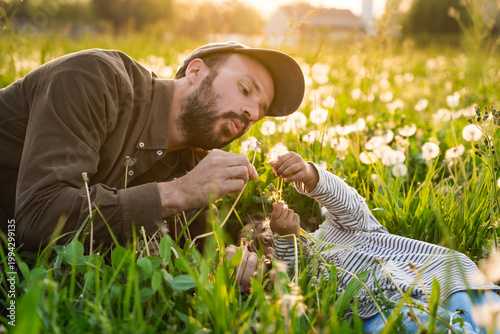 father and daughter playing with dandelions flowers in field at sunset, concept of fatherhood and Parent-child relationships outdoors