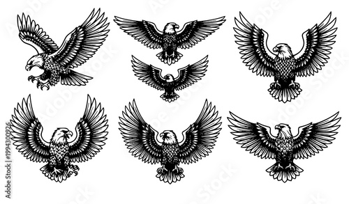 Golden vintage eagle emblem vector set decorative bird logo illustration