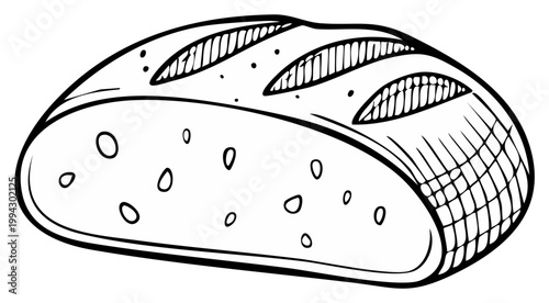 Freshly baked artisan bread loaf sketch, illustration. Sliced loaf showing interior texture.