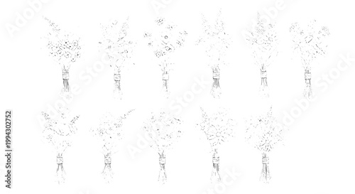 Branches hand drawn set with delicate lines and leaves featuring nature, organic, sketch with art and illustration elements for botanical, plant