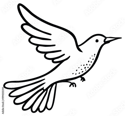 Outline of a soaring bird in flight, wings spread, simple hand drawn illustration, graphic art, nature.