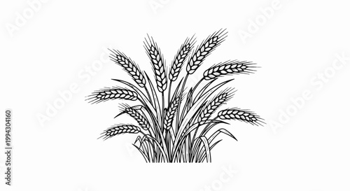 A cluster of wheat stalks with detailed grains and leaves