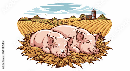 Two pigs rest contentedly amidst harvested corn stalks on a farm