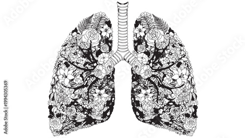 Detailed Illustration of Human Lungs Showing Internal Anatomy and Bronchial Tree.