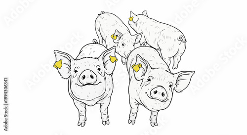Four smiling cartoon pigs with yellow ear tags on a white background