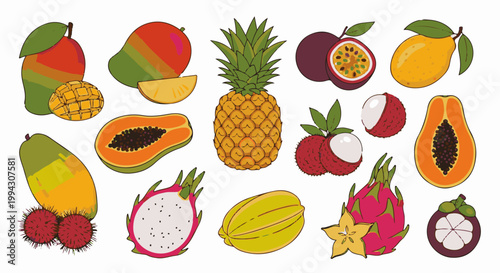 Collection of colorful tropical fruits, hand-drawn style