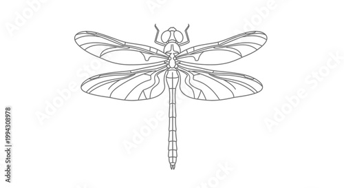 Nail polish bottle with cap.